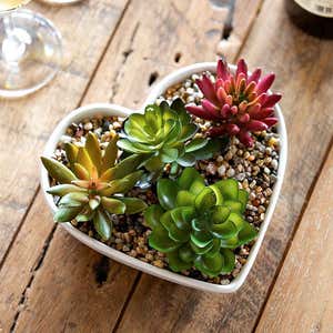 Ceramic Heart-Shaped Succulent Table Décor