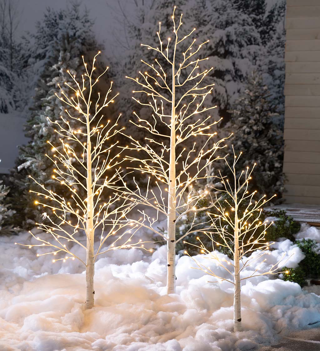 Indoor/Outdoor Birch Tree with Warm White and Multicolor Lights