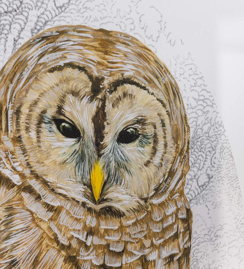 Barred Owl I Framed Wall Art Painting