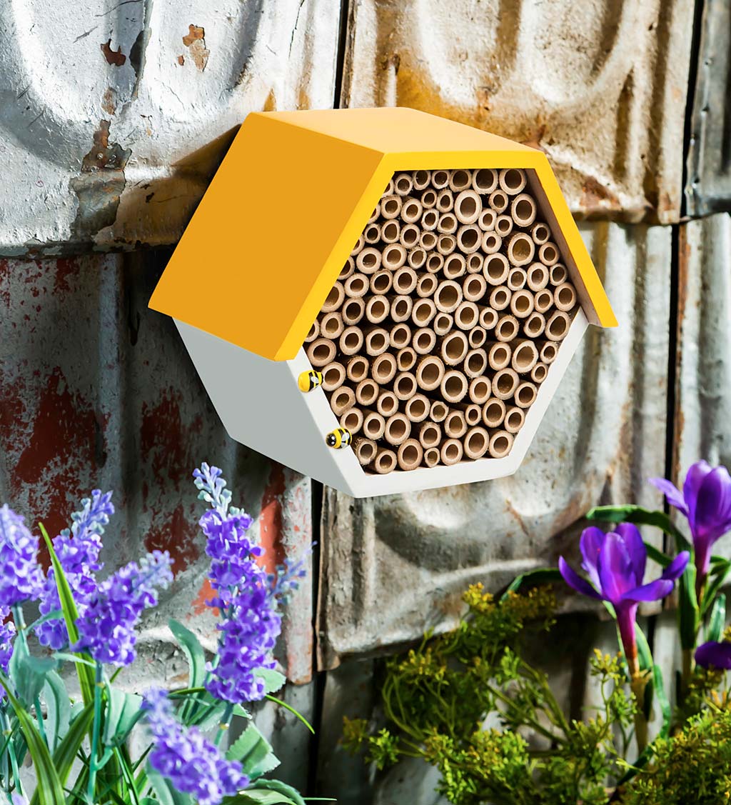 Hexagonal Busy Bee Pollinator Habitat