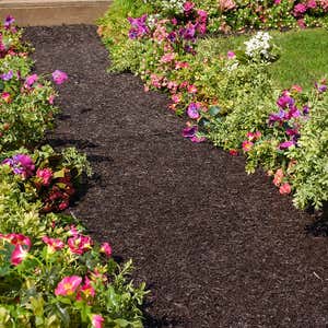 Permanent Mulch Recycled Rubber Pathway