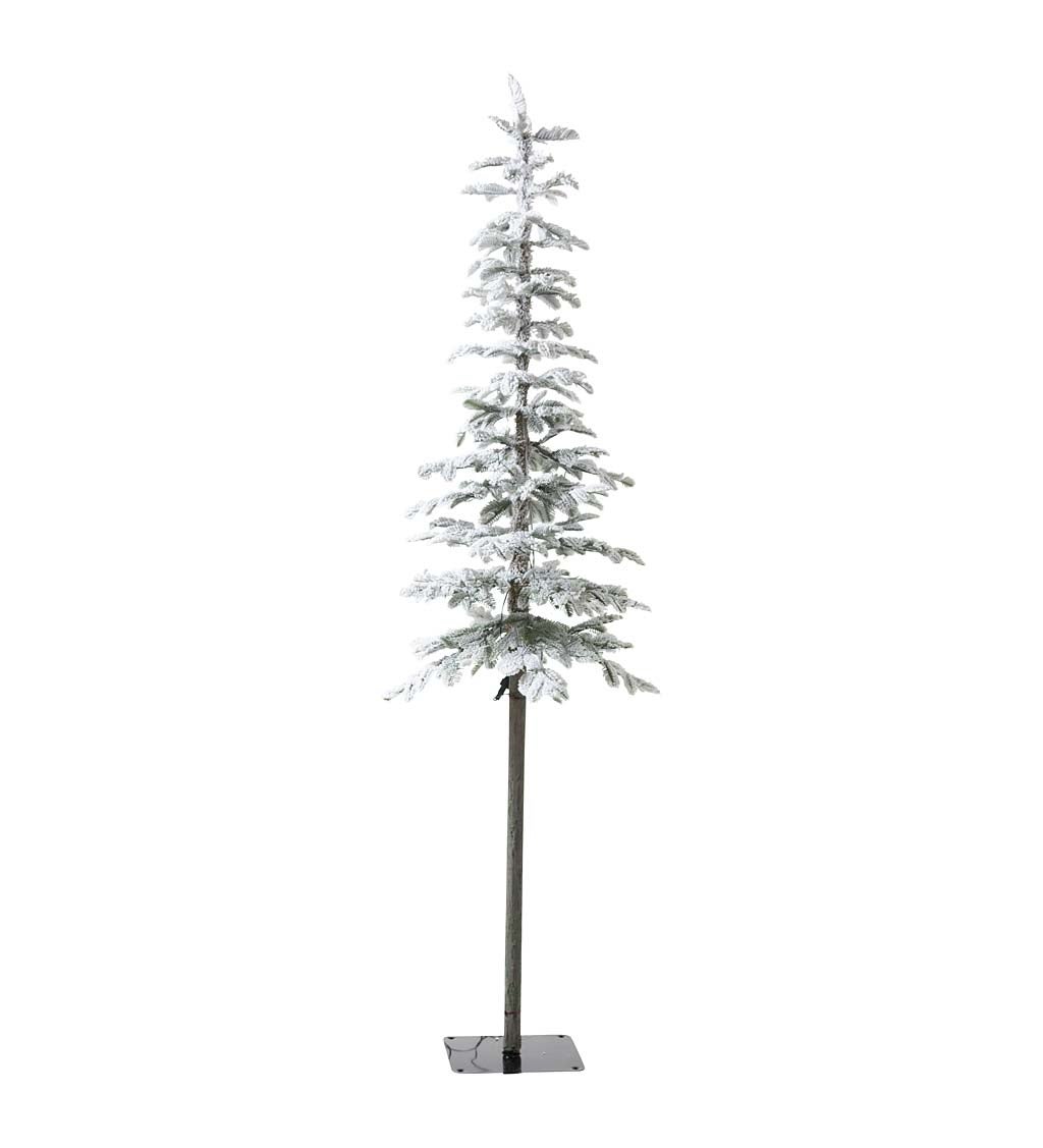 6' Monte Rosa Flocked Alpine Fir Christmas Tree with 150 Warm White LEDs