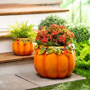 Indoor/Outdoor Pumpkin Planters, Set of 2