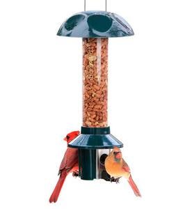 PestOff Bird Feeder For Peanuts, Dried Meal Worms, Suet And Wild Bird Nuggets