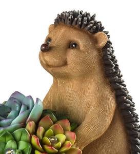 Solar Succulent Hedgehogs Flower Pot Garden Statue