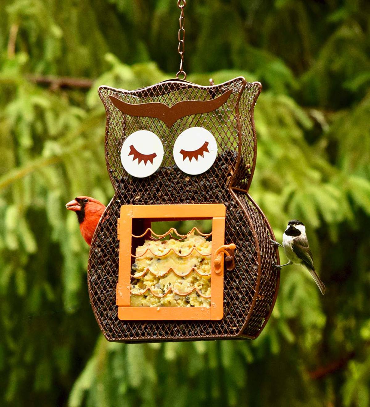 Owl Dual Seed/Suet Birdfeeder
