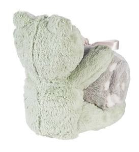 Plush Frog Stuffed Animal with Blanket Gift Set