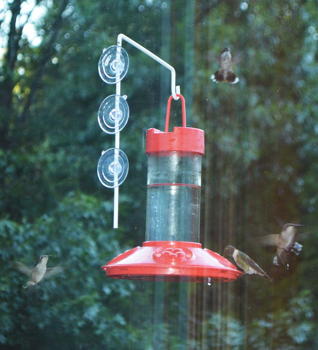 Dr. JB's 16-Ounce Dishwasher-Safe Hummingbird Feeder with Window Hanger