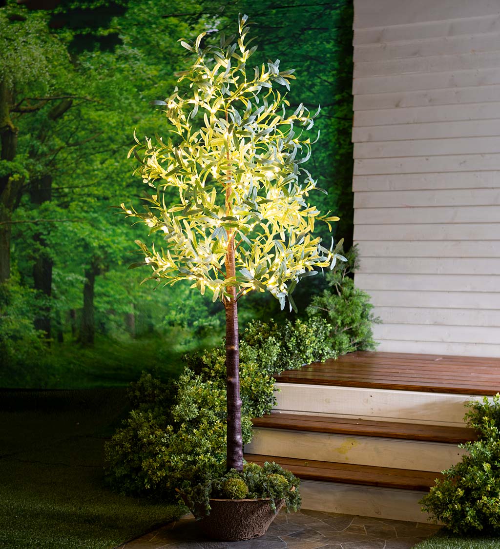Lighted Faux Olive Tree with Warm White LED Lights
