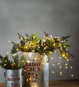 Electric Bunch Star Lights, 160 Warm White LEDs on Bendable Silver Wire, 42"L