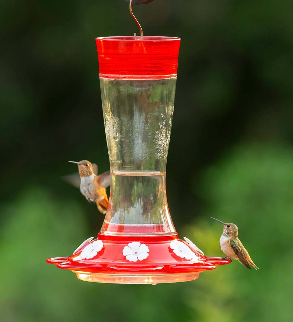 Garnet 20-Ounce Glass-Bottle Hummingbird Feeder