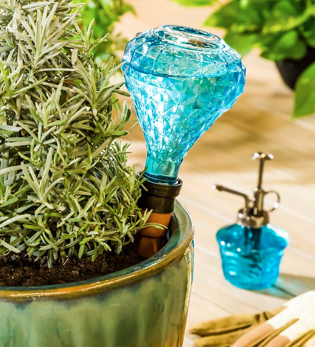 Faceted Glass House Plant Watering Gift Set Blue