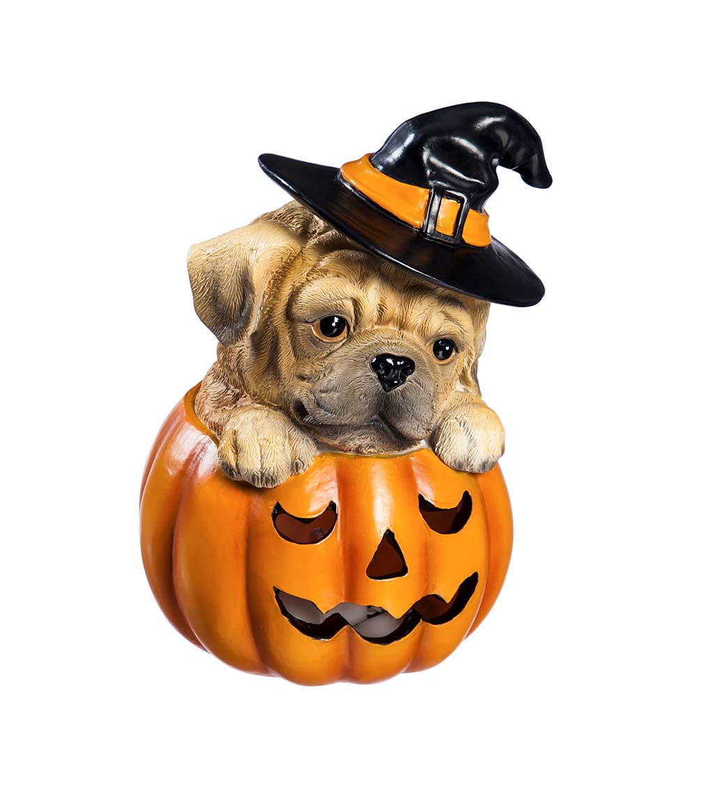 LED Puppy in a Pumpkin Figures, Set of 4
