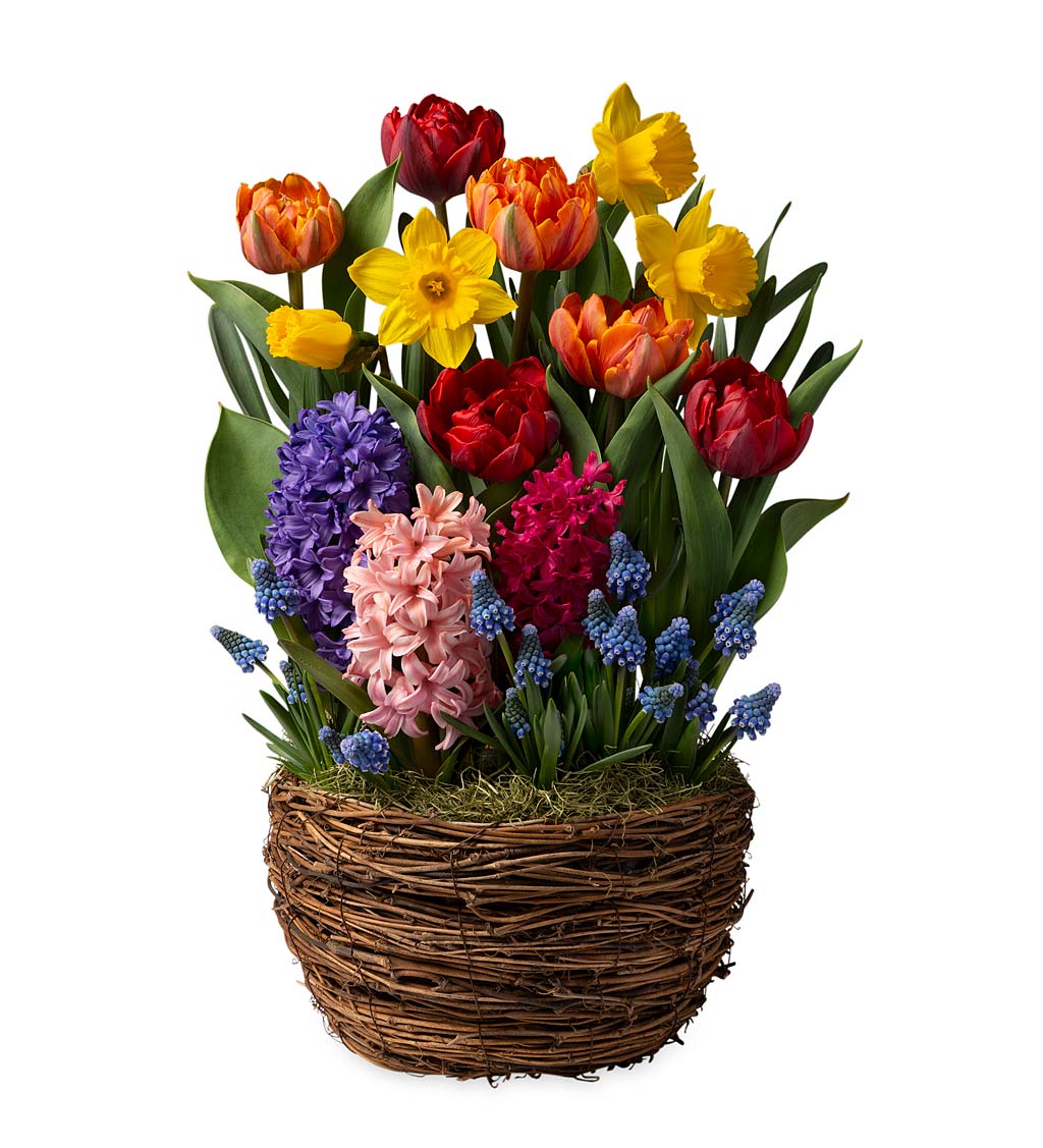 Assorted 16-Bulb Bright Spring Flower Gift Garden | Plow & Hearth