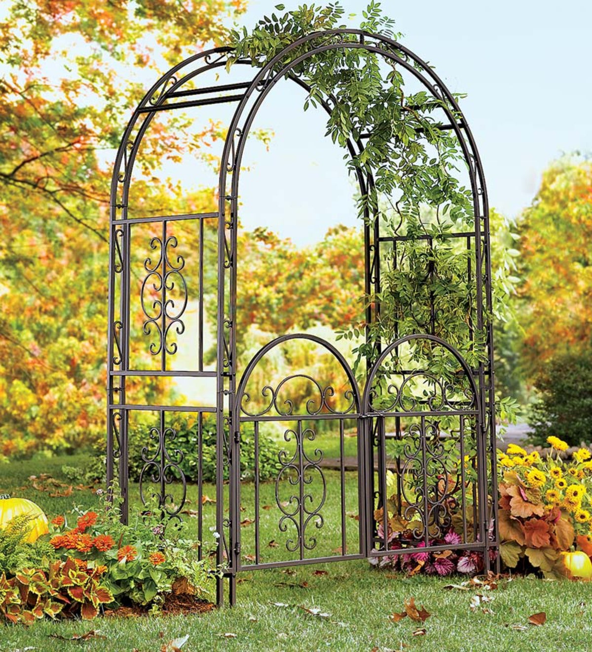 Montebello Iron Garden Arbor with Gate | Garden Accents | Product Types ...