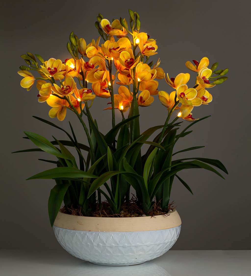 Lighted Faux Yellow Cymbidium Orchid Arrangement with Timer