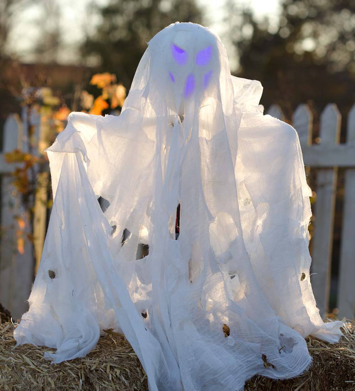 Animated Halloween Ghost with Sound and Lights | PlowHearth
