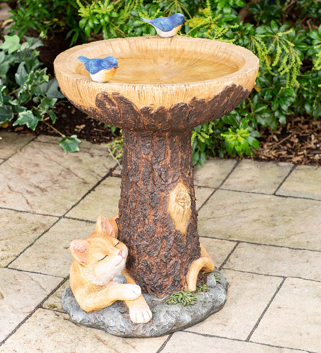 Forty Winks Tree Stump Birdbath with Cat and Bluebirds