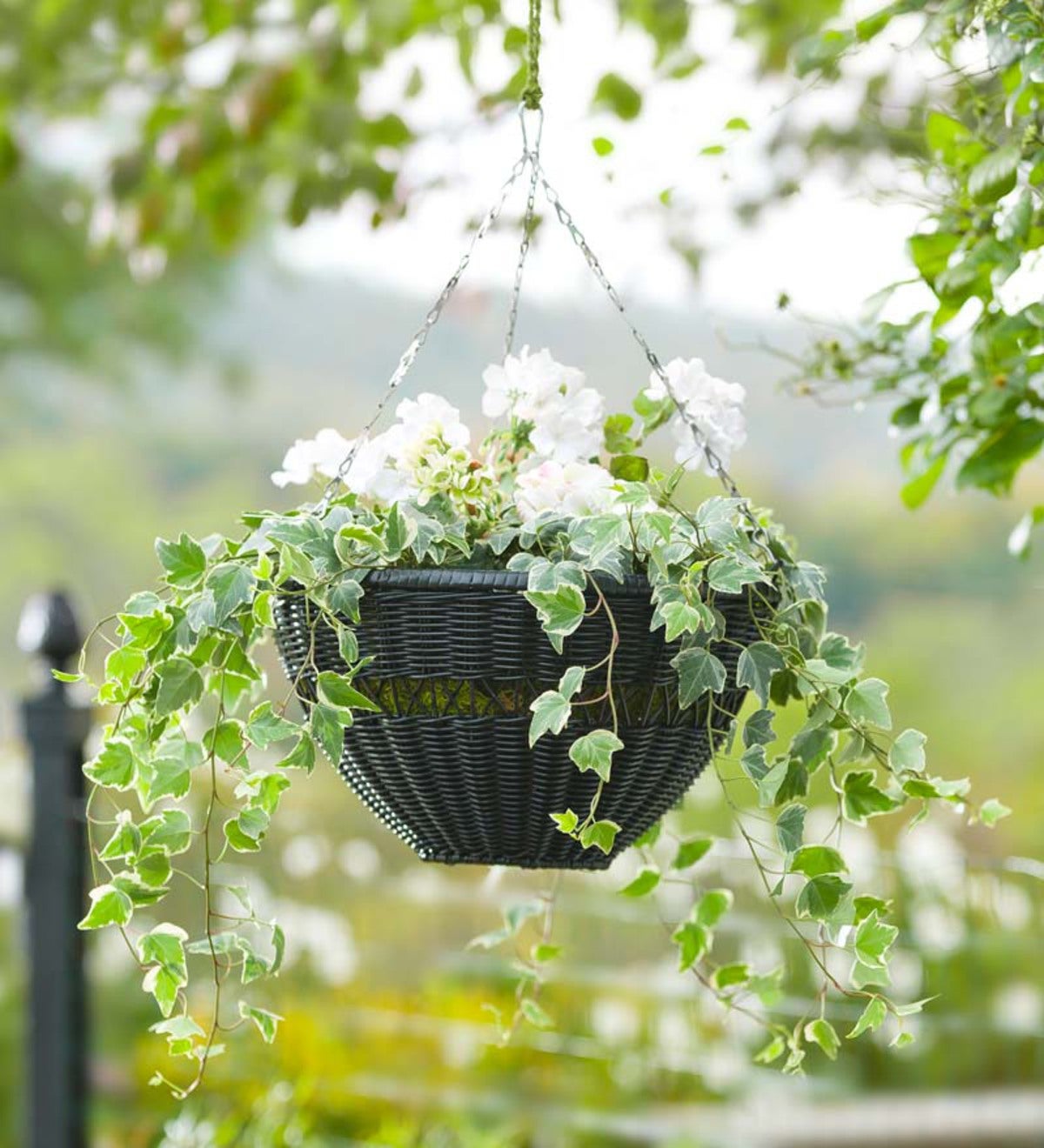 Resin Rattan Plaited Hanging Basket Garden Plant Flower Pot Add Chain 