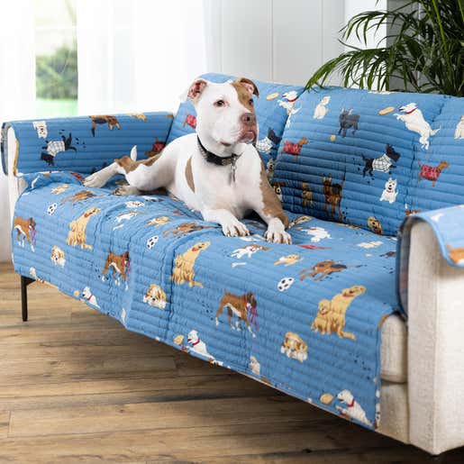 Image of a dog lying on a Dog Park furniture pet cover. Shop For Pets & Pet Lovers