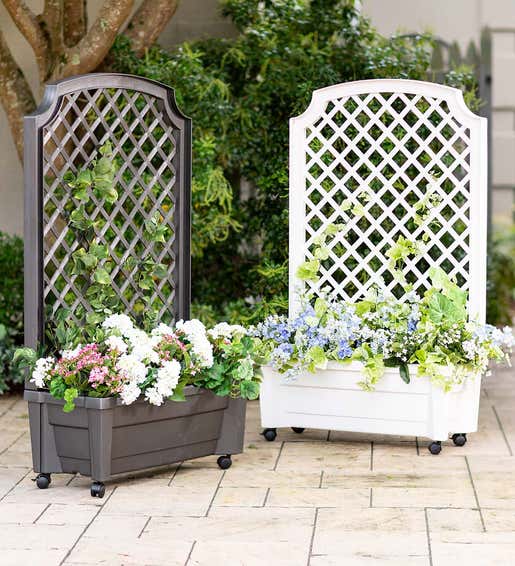 Planters & Plant Stands