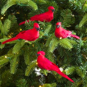 Christmas tree branches decorated with matching red cardinal ornaments