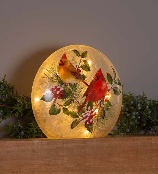 Image of a Winter Cardinal Holiday Accent Light. Shop Gifts for Her