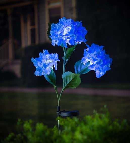 A solar blue hydrangea blossoms garden stake glows in a night garden